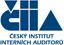 Český institut interních auditorů, o.s.